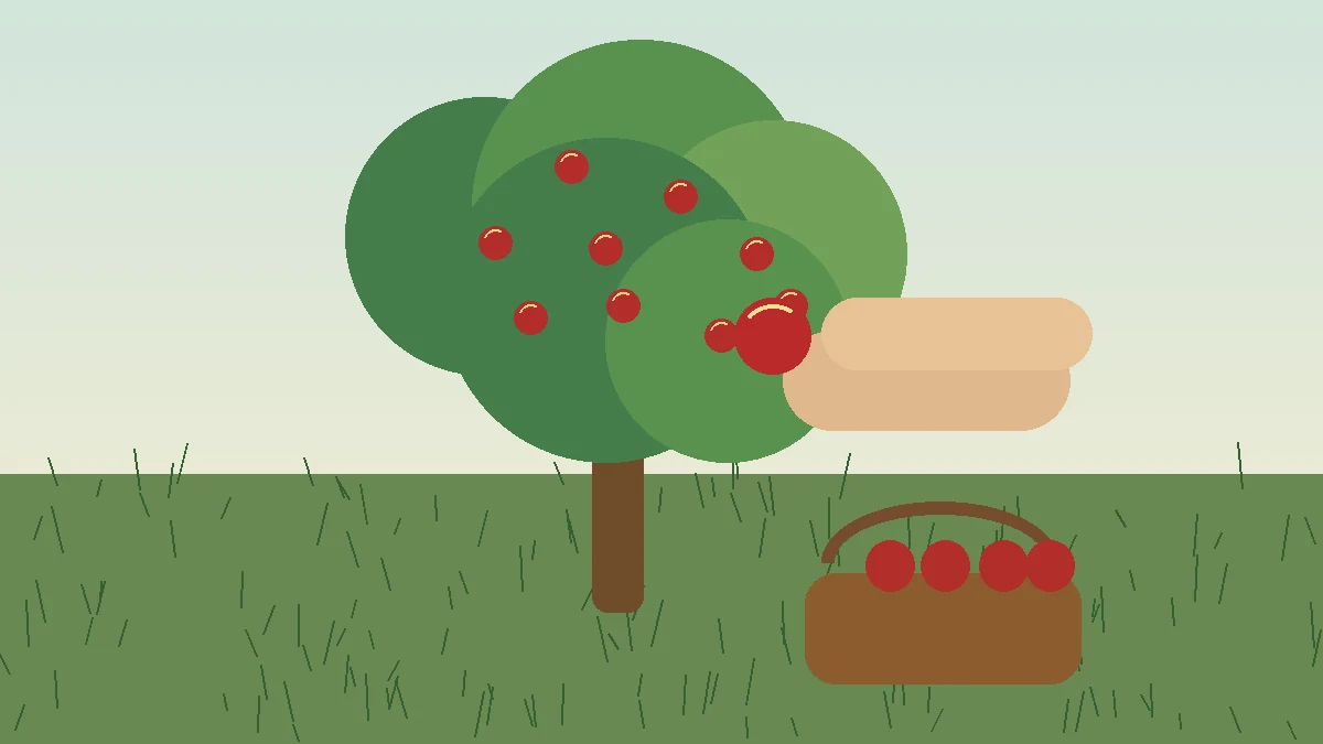 Manzanas maduras cosechadas con cuidado del árbol